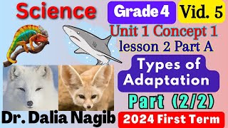 ساينس رابعه ابتدائي المنهج الجديد Science Grade 4 Types Of Adaptation Concept 1 Lesson 2 A Part 2 [upl. by Ynamreg]