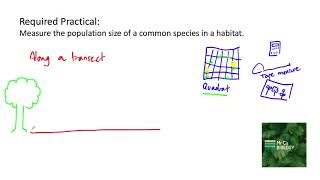 Measuring Population Size Along a transect AQA Biology Required Practical [upl. by Hurff782]