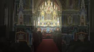 Syro Malabar holy mass in Malayalam Infant Jesus church cherupunkal holy mass syromalabarchurch [upl. by Flossie]