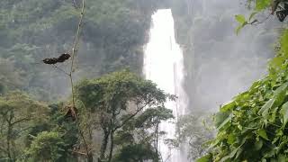 La impresionante maravilla de Veracruz La Cascada de Atlahuitzia una de las más altas de veracruz [upl. by Louisette454]