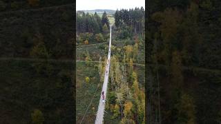 The Geierlay Germanys longest suspension bridge travel dji drone explore deutsch nature [upl. by Ghassan]