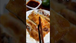 Beef potstickers 牛肉锅贴 food cooking 美食 recipe delicious [upl. by Adnowat533]