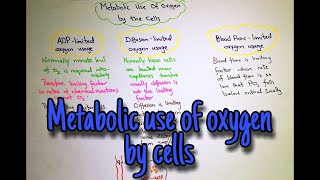 Metabolic use of oxygen by cells Chapter 41 part 4 Guyton and hall book of medical physiology [upl. by Docila237]