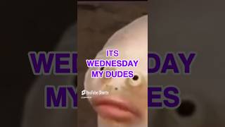 Wednesday ritual  My dudes  creditsZimoNitrome  youtubeshorts [upl. by Dnarud]