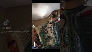 musica viralshort corridos accordion [upl. by Leeland]