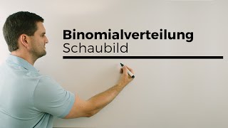 Binomialverteilung Schaubild Histogramm  Mathe by Daniel Jung [upl. by Divan948]