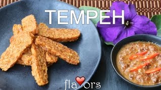 Fried Tempeh Goreng Recipe Video [upl. by Lehteb378]