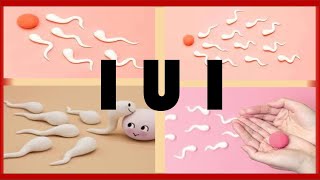 Intrauterine Insemination IUI  What is an IUI  How to get Pregnant with an IUI [upl. by Onifur]