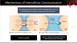 Chemical Messengers Part 1 [upl. by Zednanref]