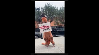 democracy dino irl beverly hills maga [upl. by Assanav641]