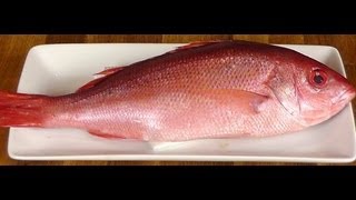 Mastering the Art of Cleaning and Cutting a Snapper How to Fillet a Fish Tell Freshness [upl. by Arv705]