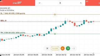 1846 USD Sl Hit In Forex Gold Trading On Metatrader 5 [upl. by Regor406]