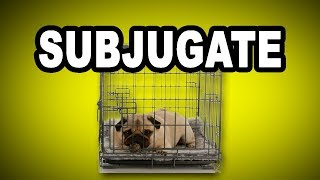 Learn English Words SUBJUGATE  Meaning Vocabulary with Pictures and Examples [upl. by Claman]