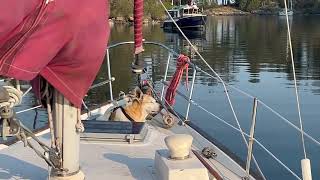 Cruising beautiful BC Smuggler Cove Sechelt Peninsula and Frenchman’s Cove [upl. by Neeron]