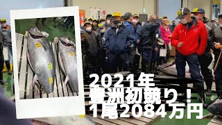 2021年 豊洲初セリ！ 今年は1尾2084万円 [upl. by Pyszka]