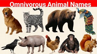 Omnivorous animals name  omnivorous animals means [upl. by Accever691]