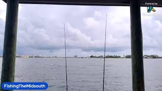 Fishing the Intracoastal Waterway in Florida [upl. by Llerral]