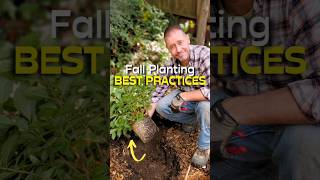 Perennial Planting Tips You NEED To Know [upl. by Gerti]