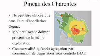 Pineau des Charentes  Macvin  Floc de Gascogne  Ratafia [upl. by Erehpotsirhc203]