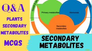 Secondary Metabolites MCQs  Secondary Metabolites of Plants Questions  secondary metabolite quiz [upl. by Slaby]