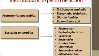 Agentes Antimicrobianos antianaeróbicos actualización [upl. by Karol230]