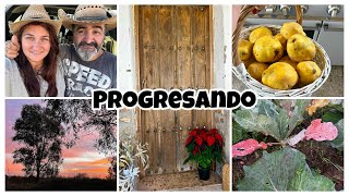 72 🏡✨UN SUEÑO EN PROGRESO 🌳🥬🪿🐐🐓🦆 Puerta antigua nuevo comienzo 🚪✨🏡YA SALEN LOS AJOS 🧄🌱🌱🌱🌱🤩🙏 [upl. by Matta]