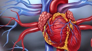 How are coronary artery anomalies viewed How are they managed  Dr Durgaprasad Reddy B [upl. by Adanar39]