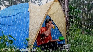 solo camping during heavy rain and storms sleeping in a very comfortable and relaxing tent [upl. by Gnilyarg]