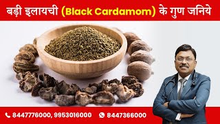 बड़ी इलायची Black Cardamom के गुण जनिये  Benefits of Black Cardamom Badi Elaichi  SAAOL [upl. by Salba856]