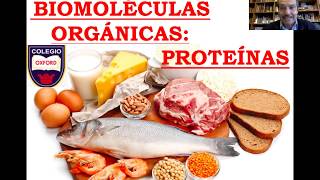 BIOLOGÍA  Biomoléculas Orgánicas Proteínas [upl. by Haliled]