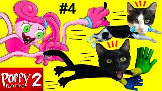 Gato vs Mommy Long Legs en Poppy Playtime Capitulo 2 en español  Videos de gatos Luna y Estrella [upl. by Eremahs]