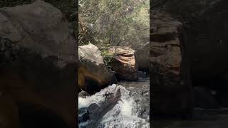 Mackenzie Falls Grampians waterfall travel lifeisfullofsurprisesandmiracles [upl. by Kari]