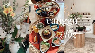 canggu  bali vlog  butterman 🥐  the slow cibo🍝 kin dog goods 🐾 ichi 🇯🇵 [upl. by Dnomzed]