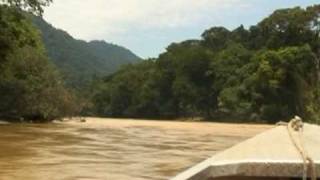 Proyecto de reforestación en la selva amazónica de Perú [upl. by Tnaryb58]