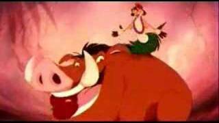 Lion King  Timon and Pumbaa Hula Dance [upl. by Katzman876]