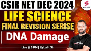 CSIR NET DEC 2024  Life Science  Concept And Questions  DNA damage  Dr Lalit Pal [upl. by Erodroeht]