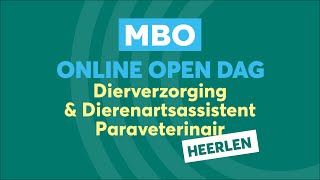 Livestream CITAVERDE College MBO Heerlen Dierverzorging amp Dierenartsassistent Paraveterinair [upl. by Llain]