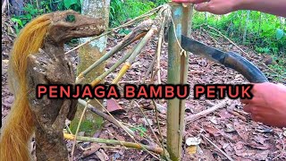 AMAZING BAMBU PETUK INI DI BELAH KELUAH MAHLUK PENJAGA [upl. by Zackariah]