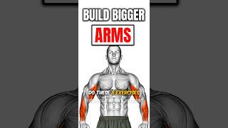 8 Bigger Arms Exercises💪 Powerful Arms Workout [upl. by Ahilam]