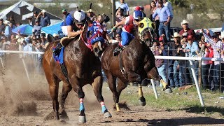 Carreras de Caballos en Cumpas 16 de Marzo 2019 [upl. by Spindell]