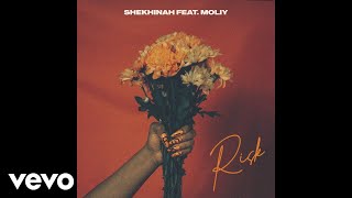 Shekhinah  Risk Official Audio ft Moliy [upl. by Ajaj]