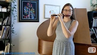 3 Ways to Get a Good Sound on Piccolo  Flute Lesson [upl. by Natividad948]