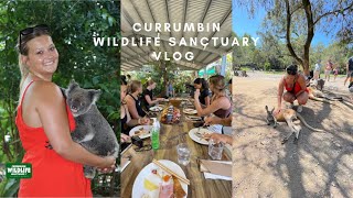 Currumbin Wildlife Sanctuary Vlog [upl. by Aribold604]