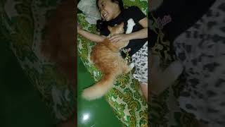 Kucing Meong Asyik SendiriShor [upl. by Nove]