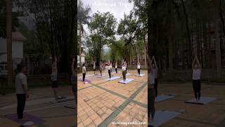 Ashtanga yoga primary series [upl. by Acissej506]