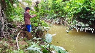 Lumayan Pegel Narikin ikan Jenis wader Pake kail No 2 II MANCING WADER [upl. by Delija573]