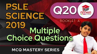 PSLE SCIENCE 2019 BOOKLET A  MCQ Mastery Series  Q20 [upl. by Eirroc]