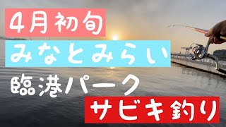 【2022年4月初旬みなとみらい臨港パーク】サビキ釣り [upl. by Ursa]