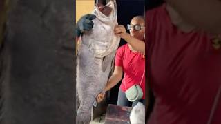 Makoko Fish Market Lagos fishmarket makoko [upl. by Ellerrehs770]