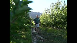 Discover the ease of biocontrol for apple farming [upl. by Nedap]